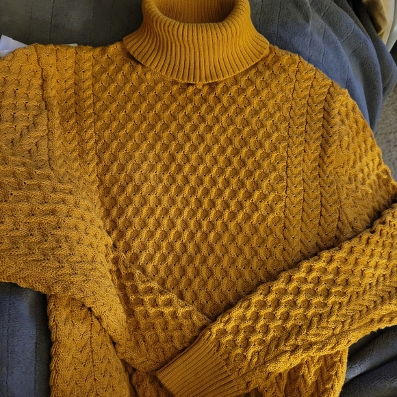 Turtleneck Sweater - Picture 2 of 6
